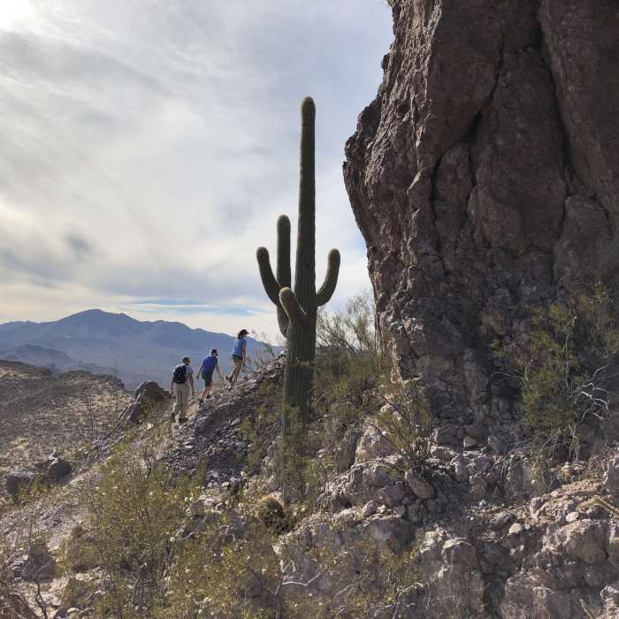 Near the summit of Mt Stafford Near Safford Peak