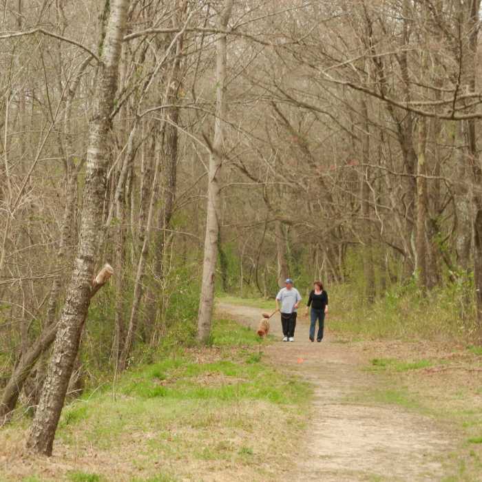 Near South Fork Rail Trail