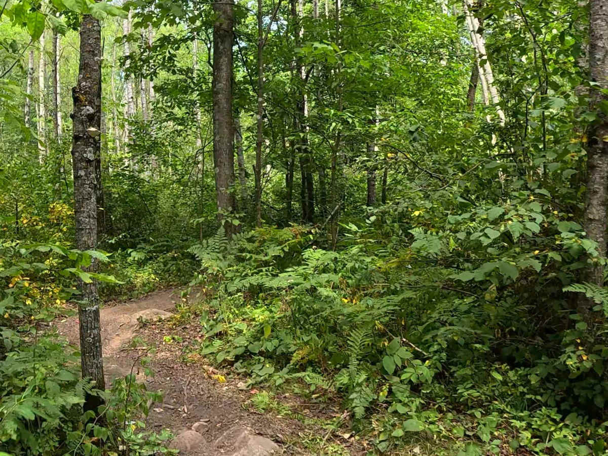 Norsemen Pass photo 2