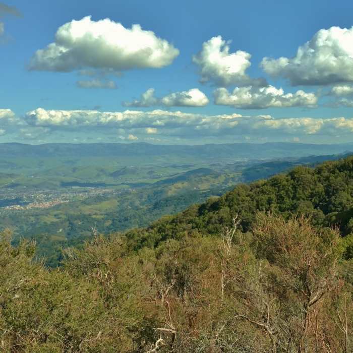 Near Kennedy Trail
