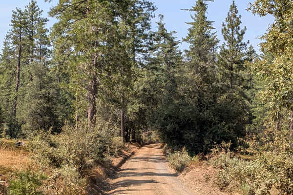 Boneyard Road - FS 1S07