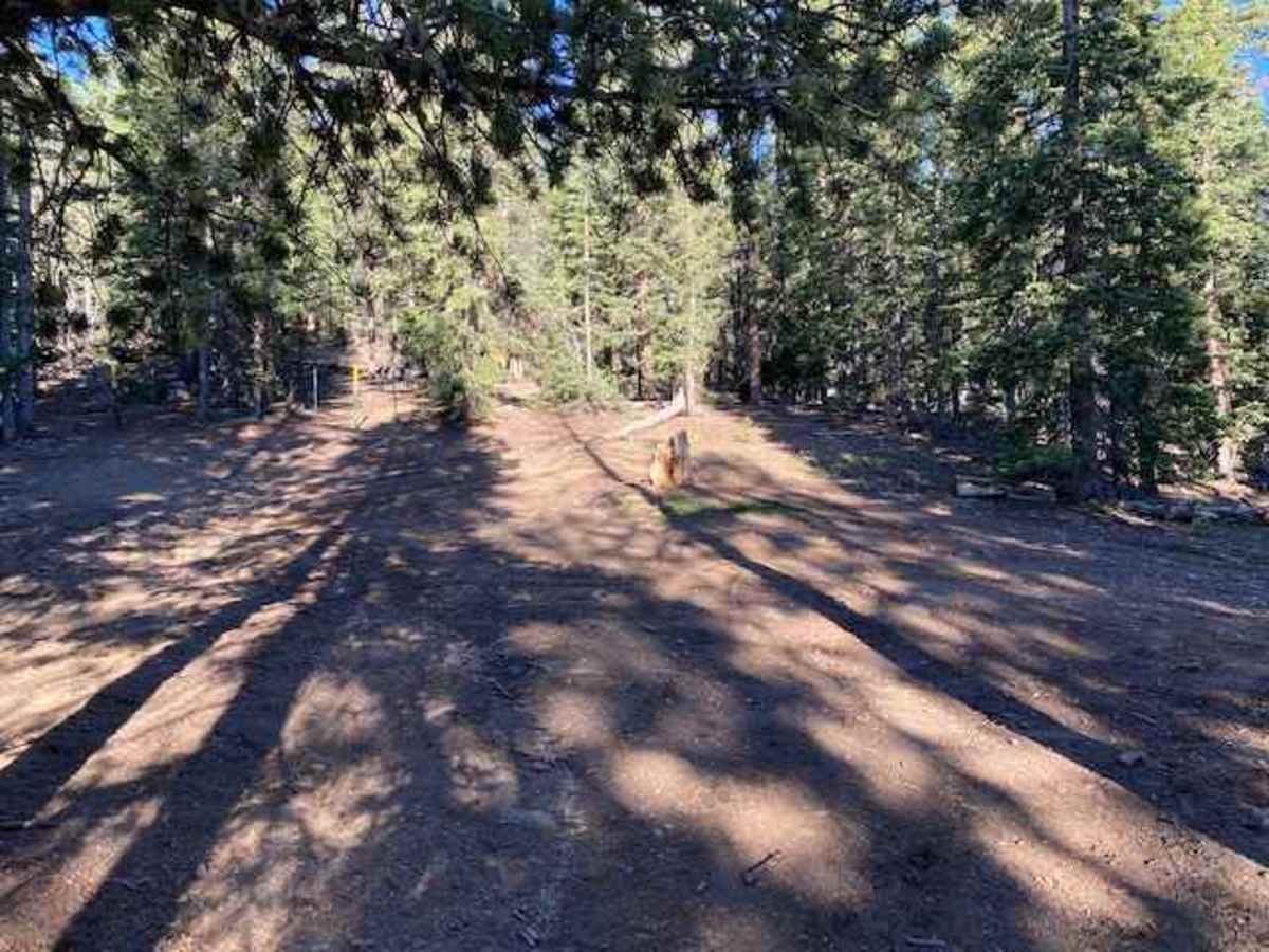 Packer Gulch photo 5