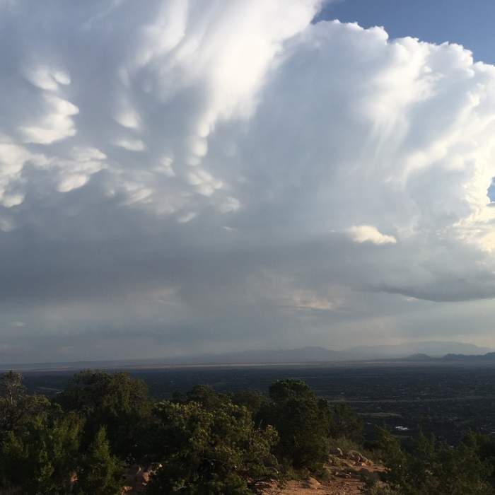 Near Sun Mountain Trail