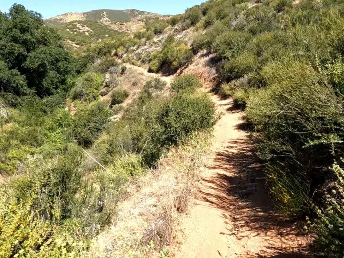 Texas OHV Trail photo 6