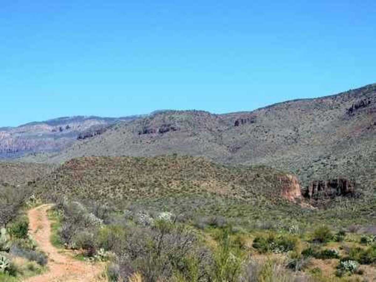 Coon Creek Ruins photo 5