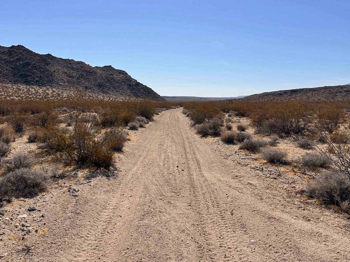 Tamarisk Mine Loop photo 5