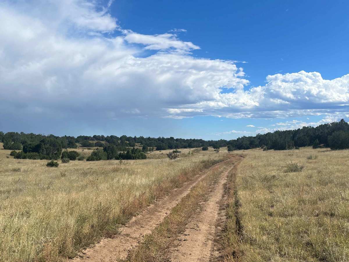 6102G trail photo