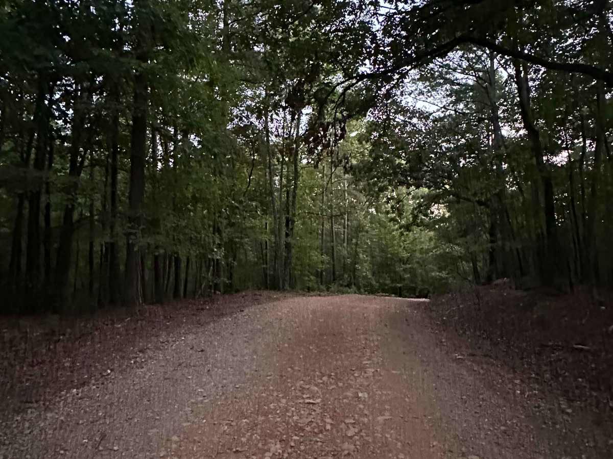 AR 3 - Main Park Road photo 4