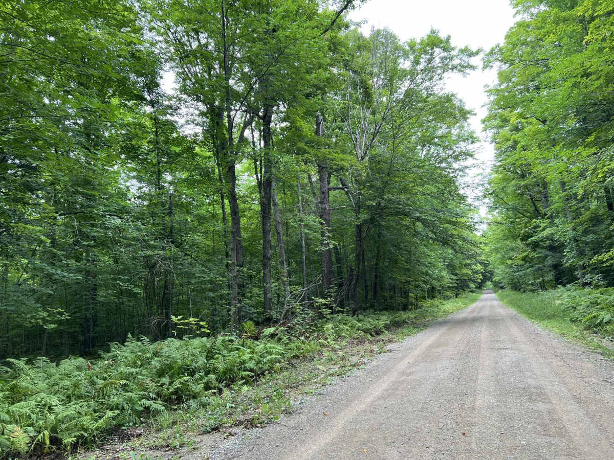 Experimental Road - FS 2184 photo 4