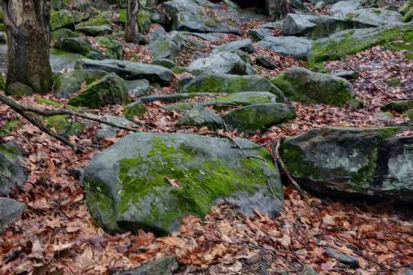 OHV 41 - Rock Run Recreation Area