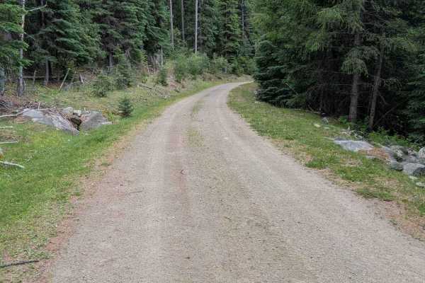 Chickadee Road