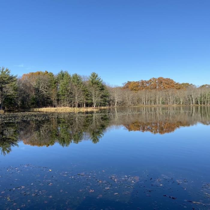 Near Needham Reservoir Trail