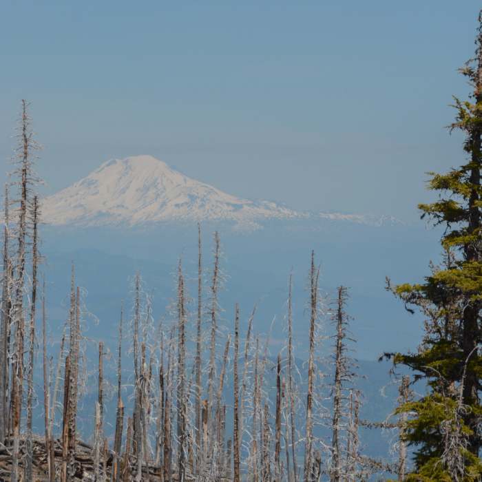 Near Tilly Jane Ski Trail #643
