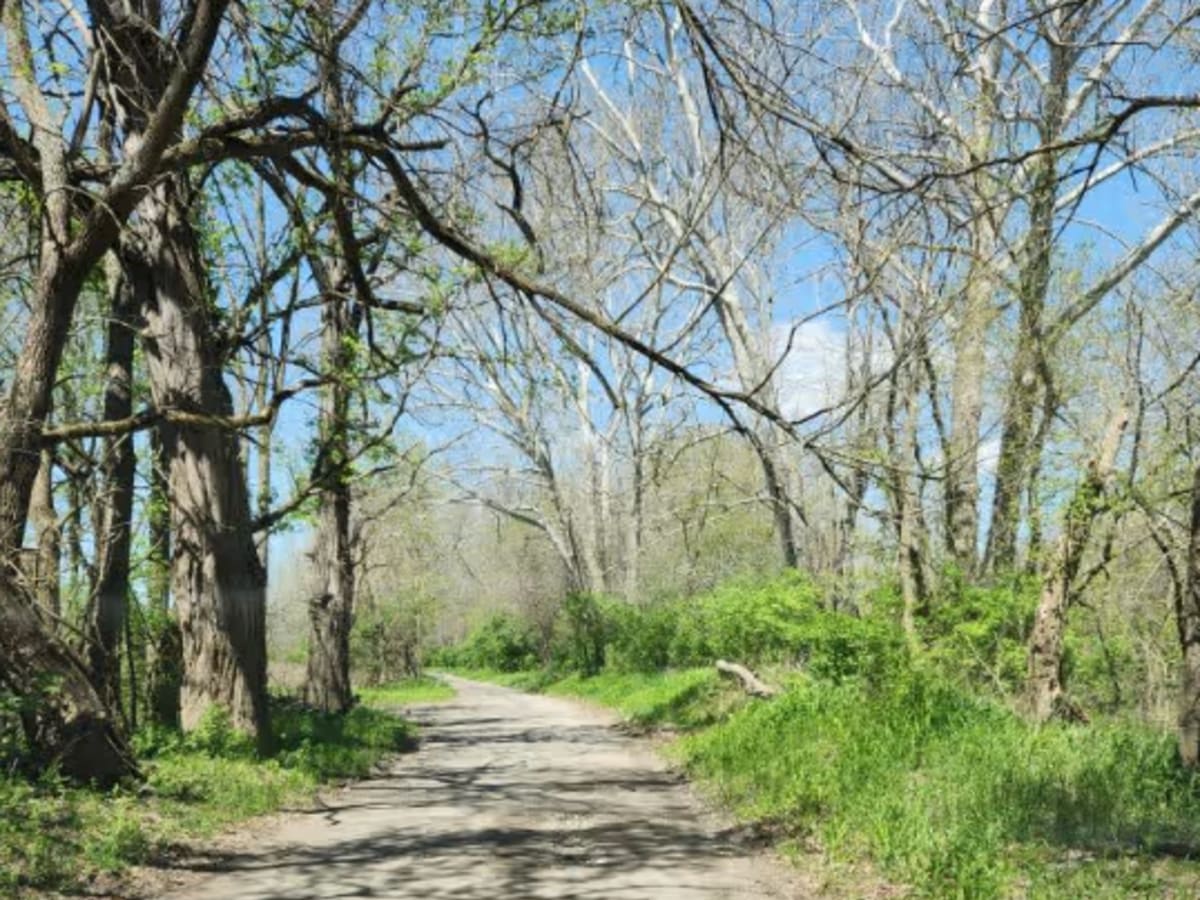 Anthony Road photo 4