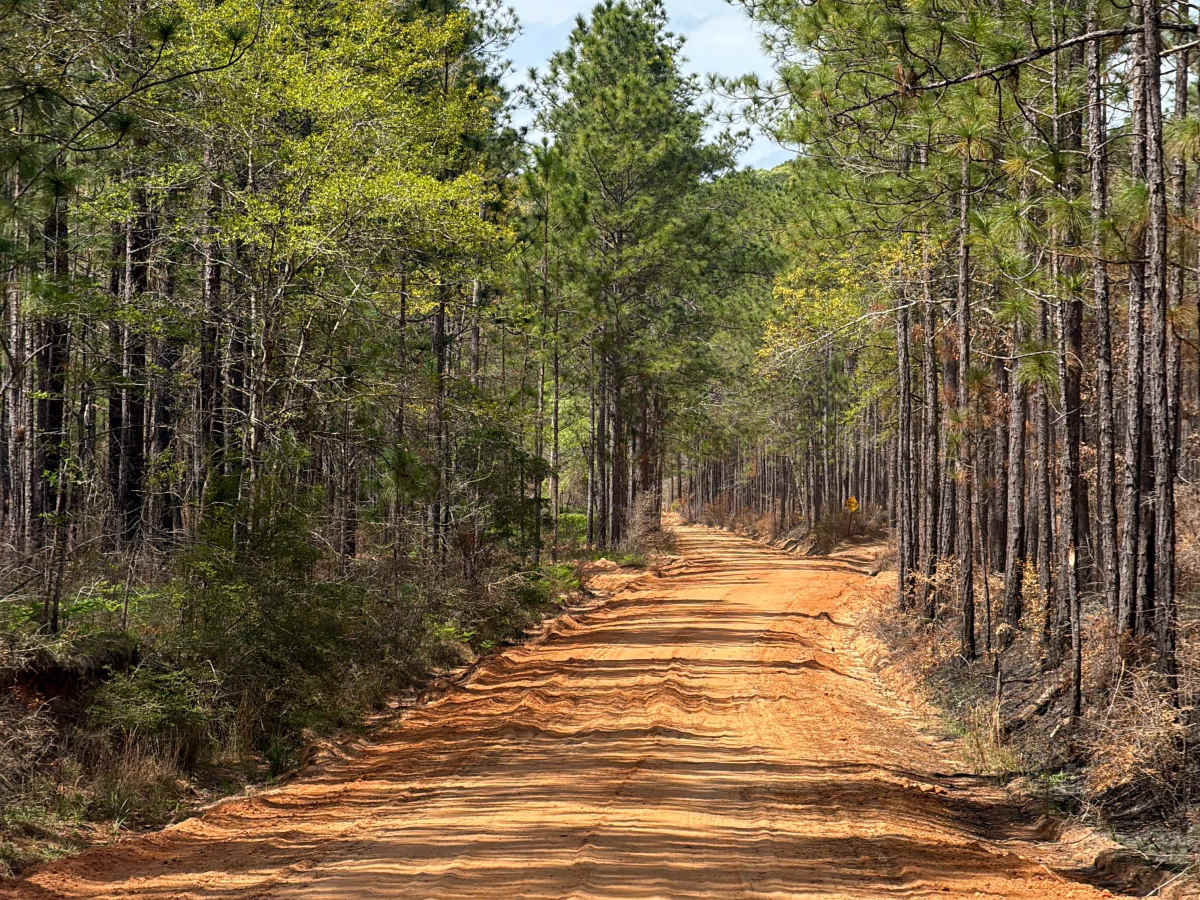 Overstreet Road photo 2