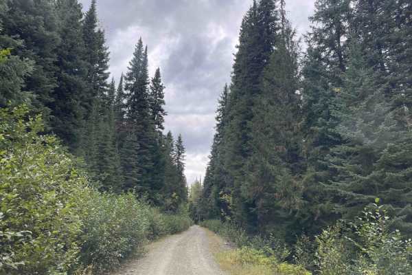 Old Monashee Highway