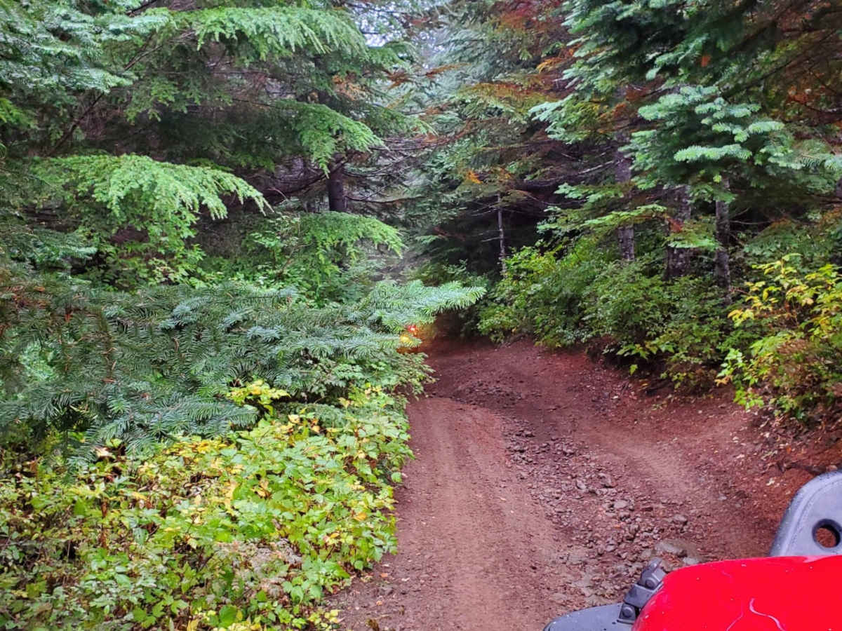 7 Up Ez trail photo