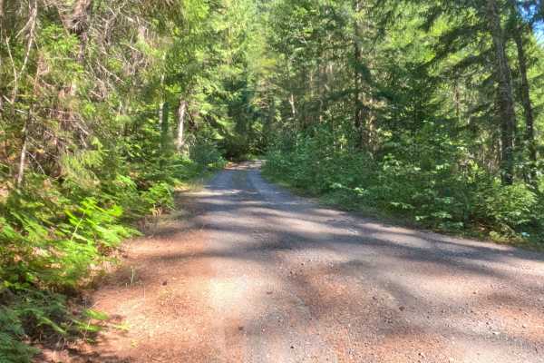Minto Mountain Road - FS 2253125