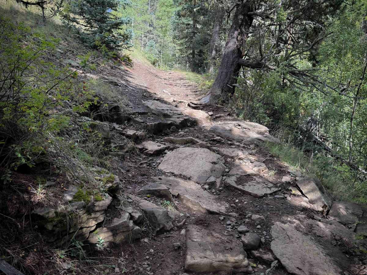 Policarpio Trail - FS 13 trail photo