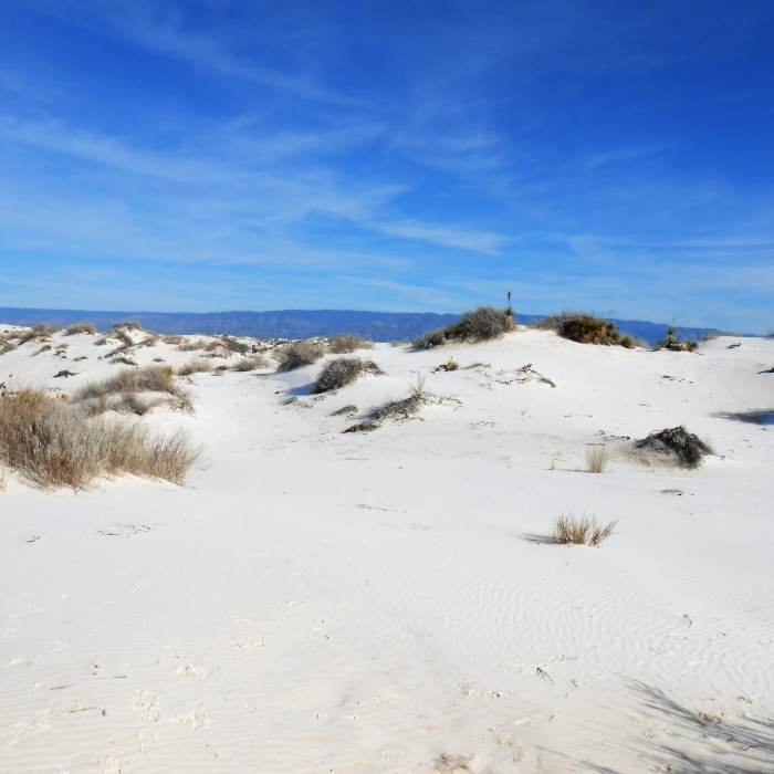 Near Interdune Boardwalk