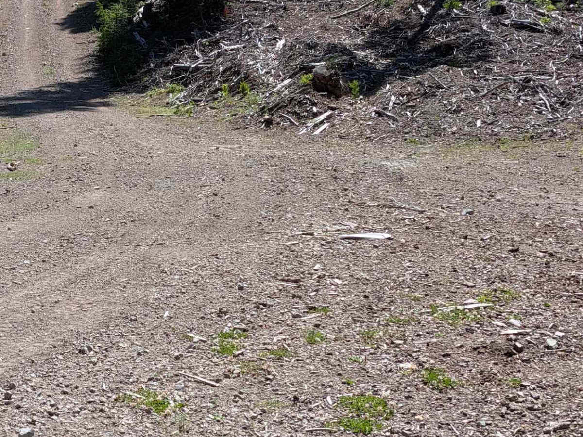 Coxit Rd E372424c photo 6