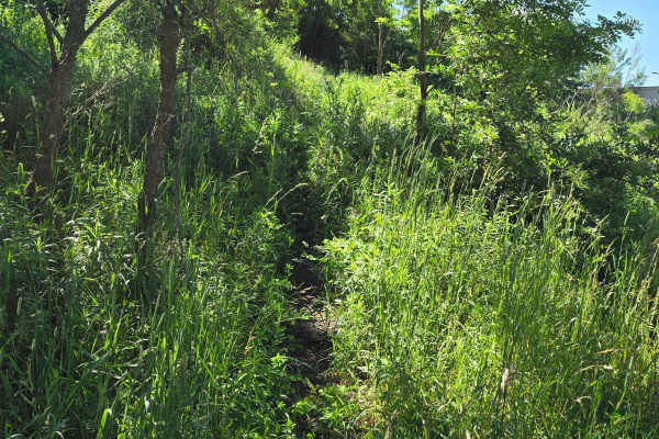Single Track W