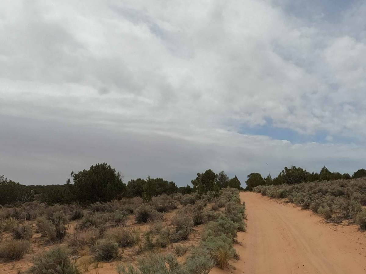 Sandhill Loop - NM1084 photo 6