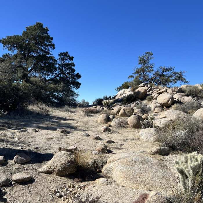 Near Whale Peak Via Pinyon Wash