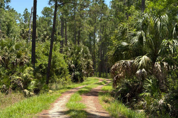 Mary Farms Road