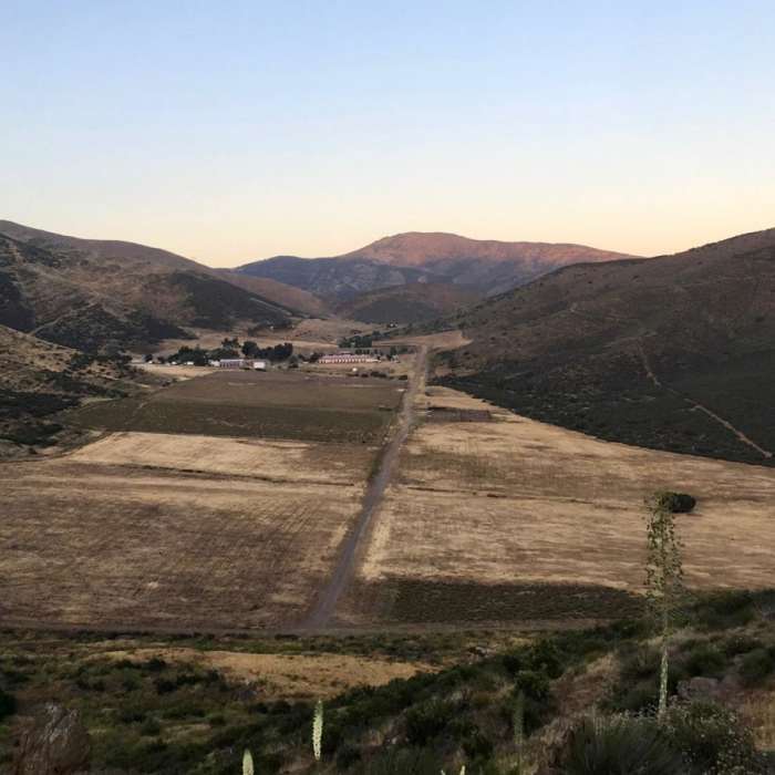 Near Pacific Crest Trail: California Section E