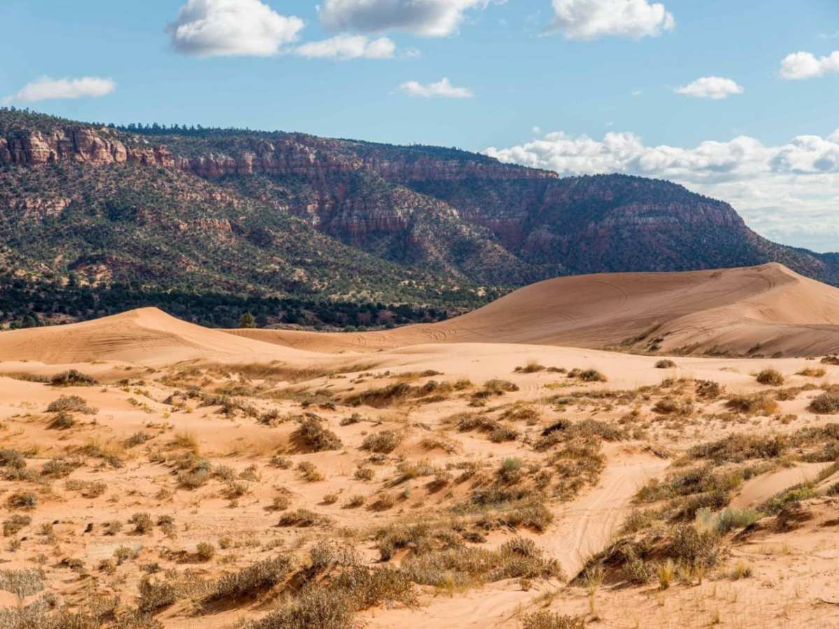 Coral Pink Sand Dunes photo 3