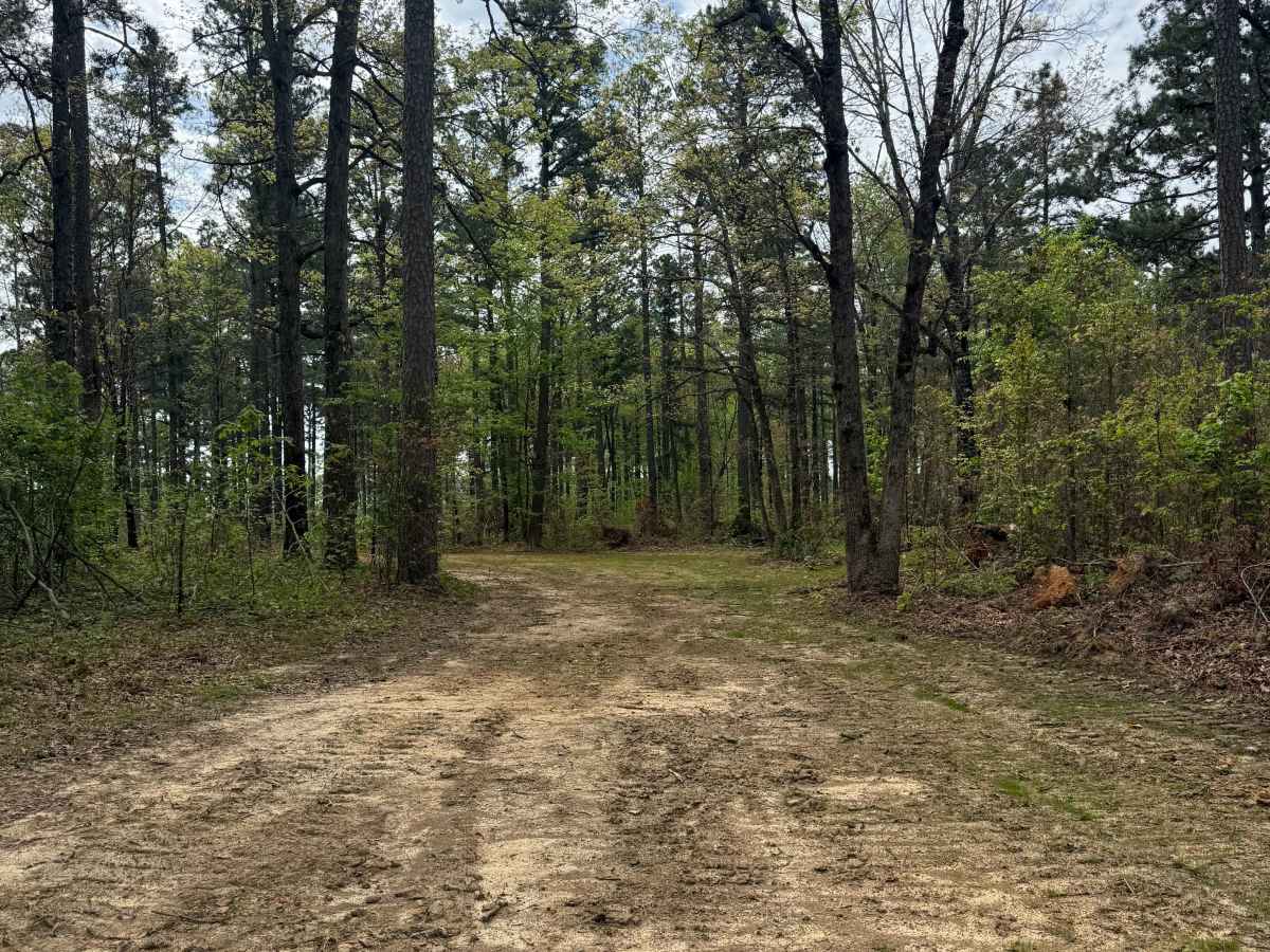 Hawkins Flat photo 3