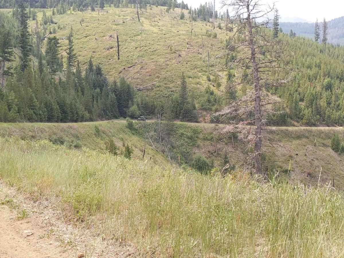 Wicked Creek Loop photo 3