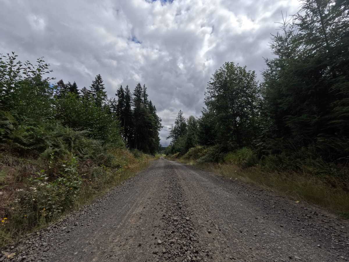 Camp Nine Road photo 5