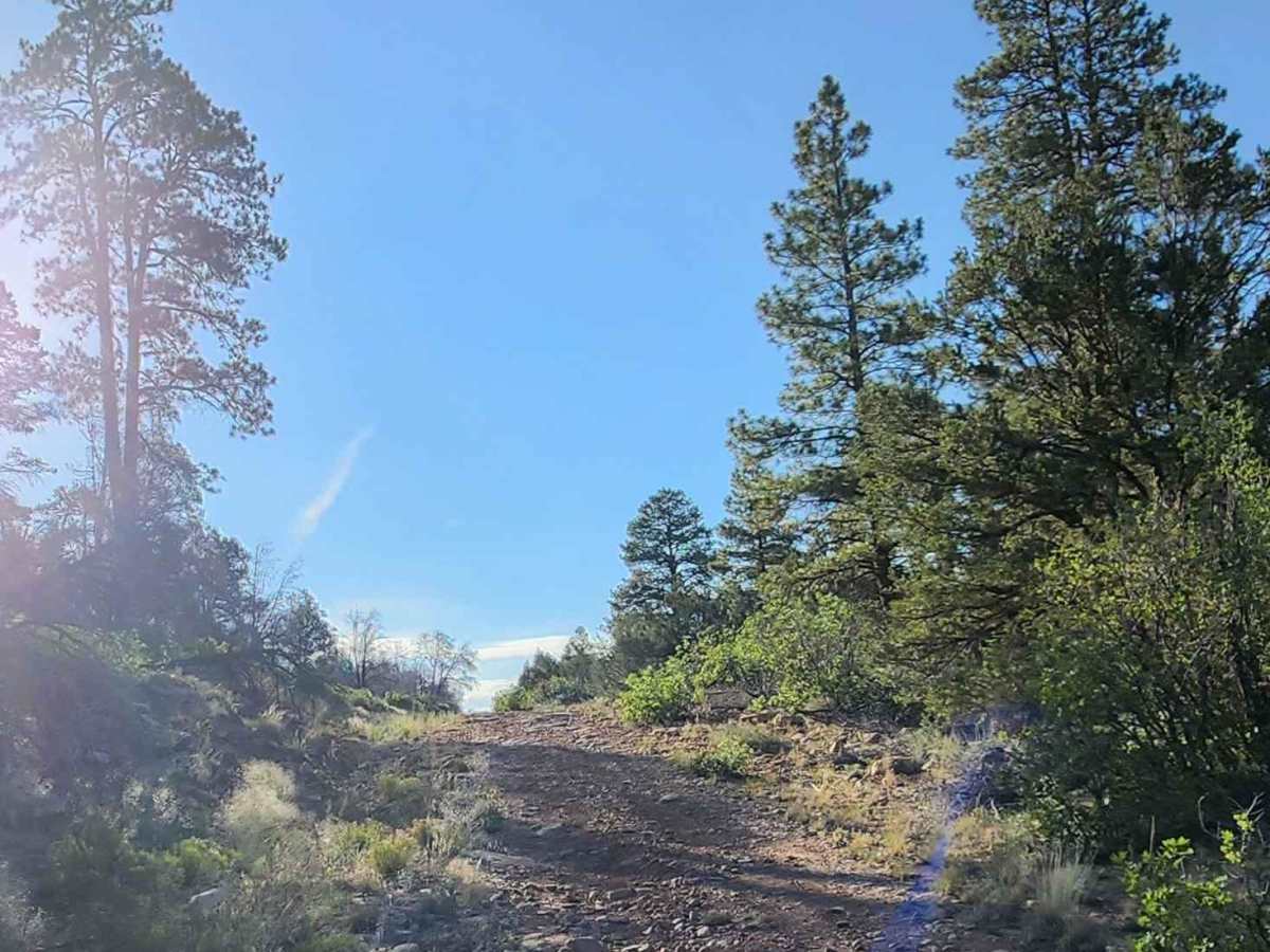 Beaver Rim Road photo 3