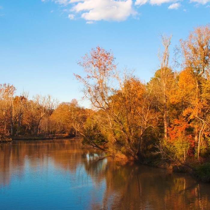 Near Neuse River Trail