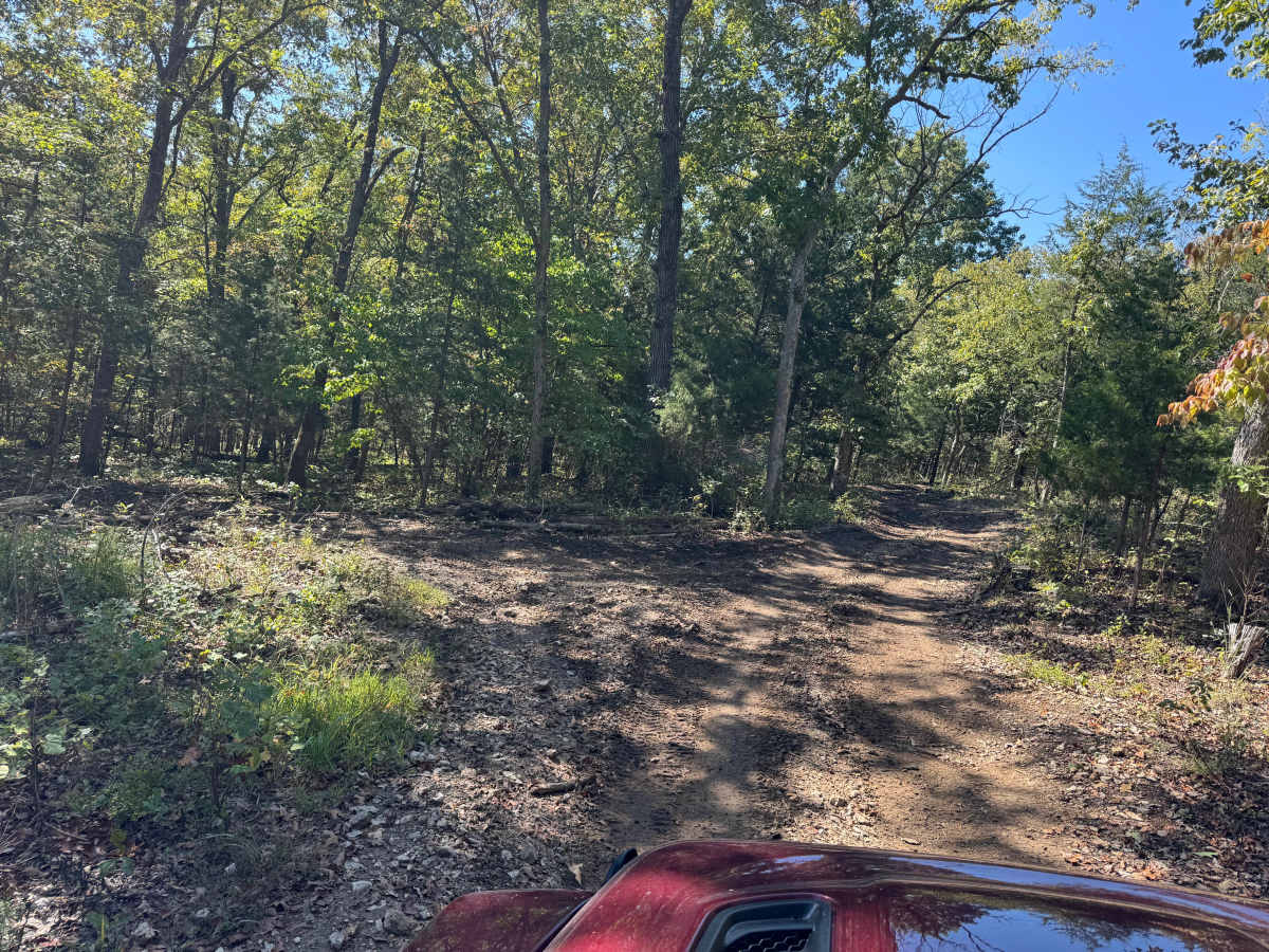 Peter Pan trail photo