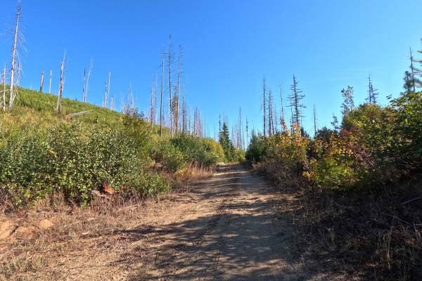Klahowya Creek L - FS 1075L