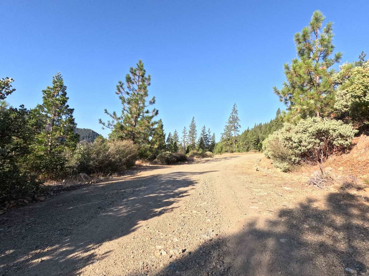 Upper Shotgun Road trail photo