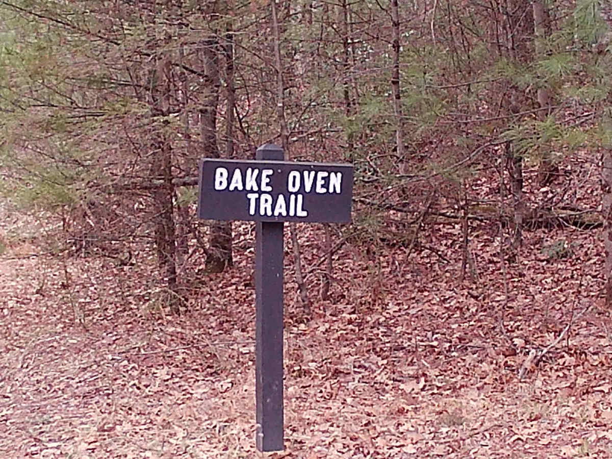 Camp Road photo 3