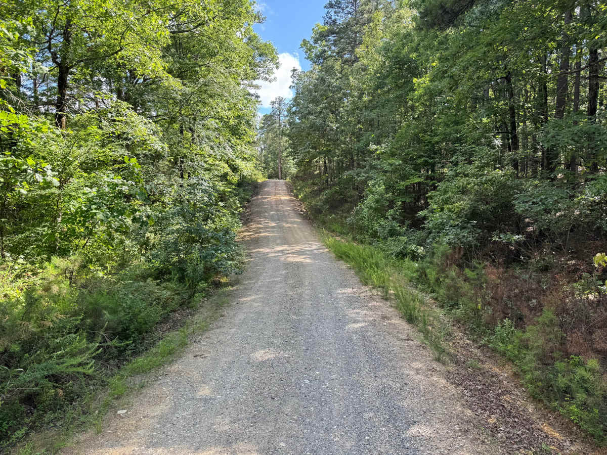 South Fork Road photo 2