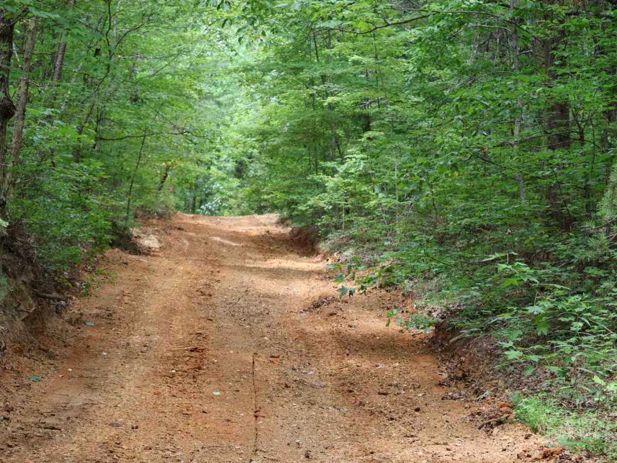 Inman Point Road photo 2