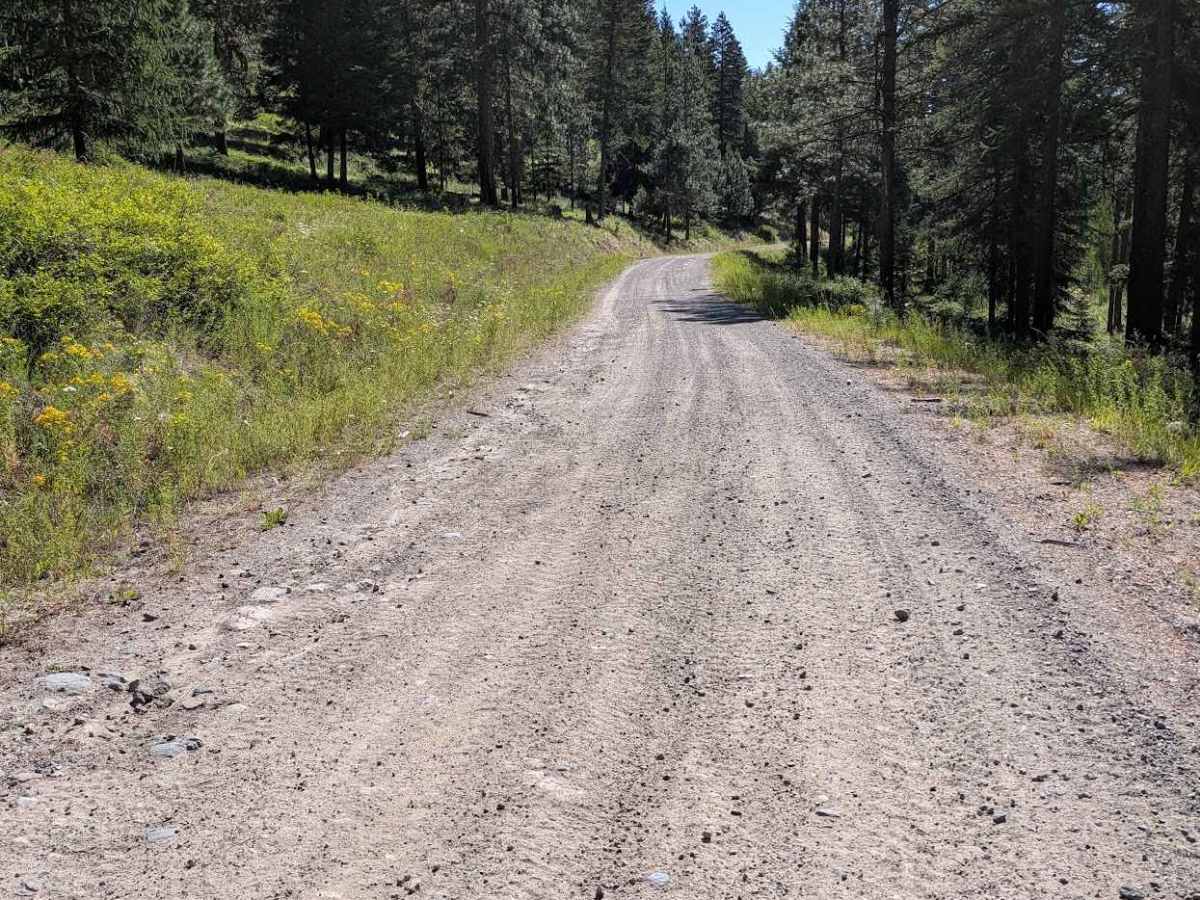Bryson Road photo 3