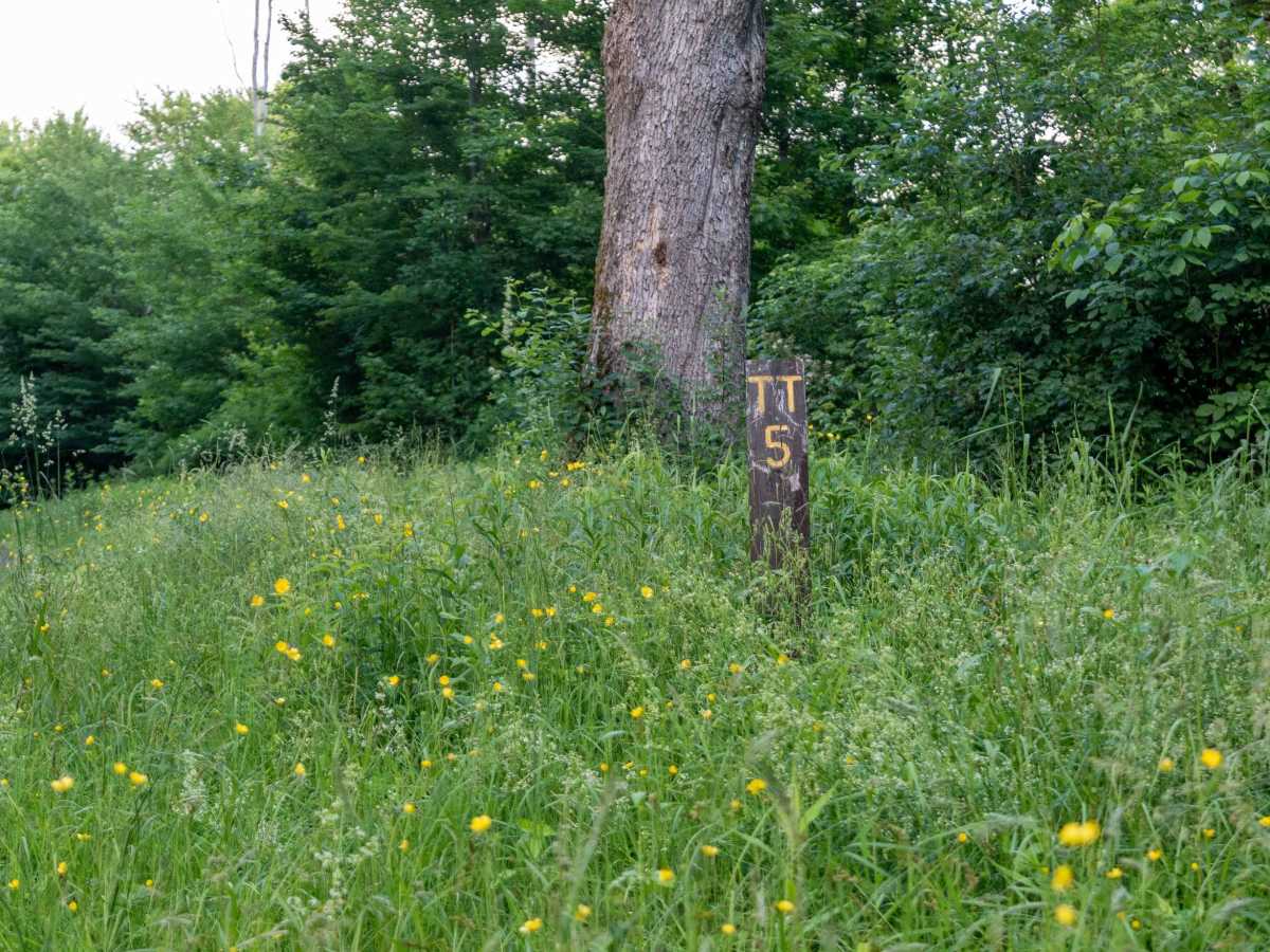 Truck Trail 5 photo 6