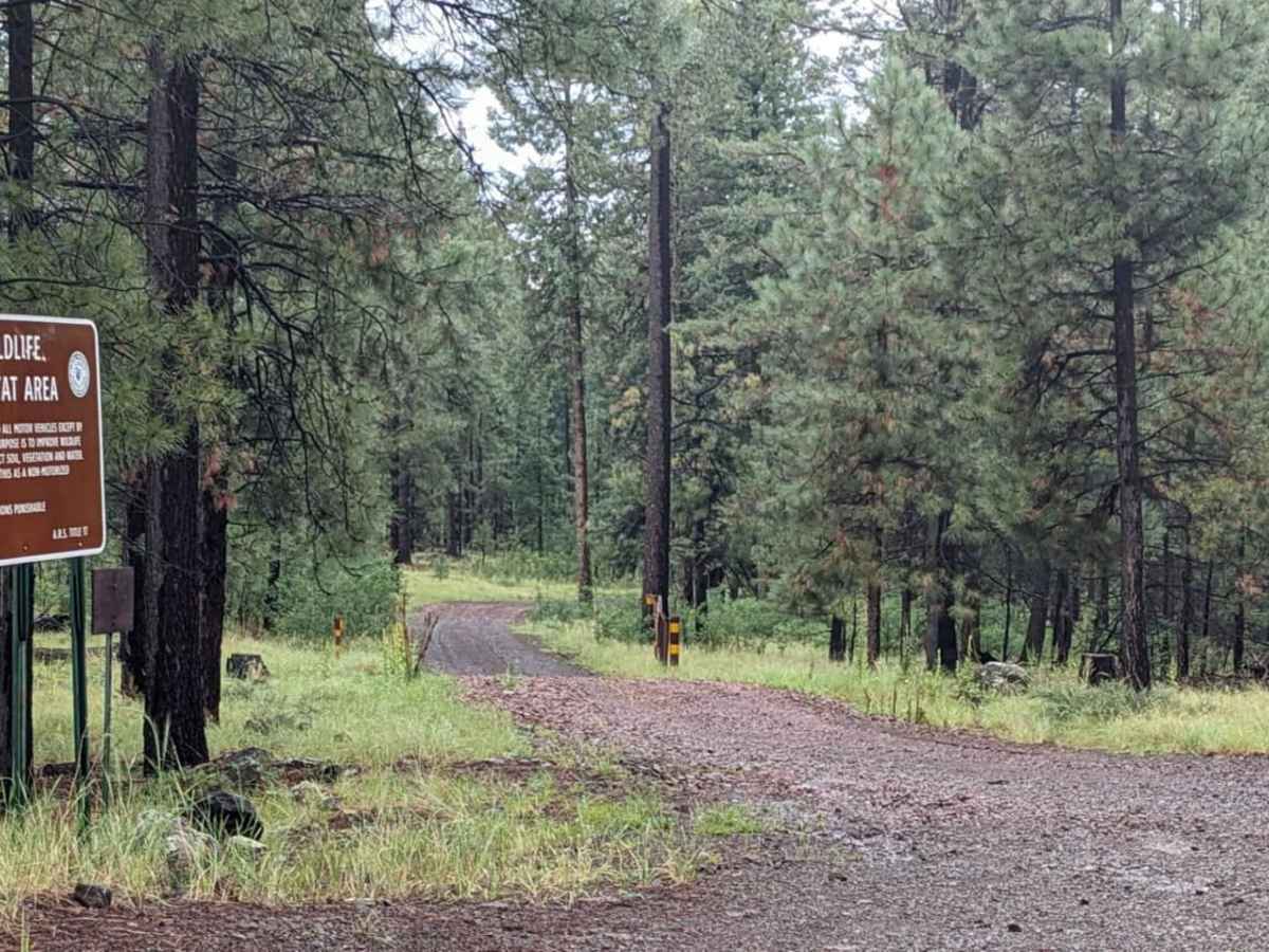 Middle Mountain Road photo 6