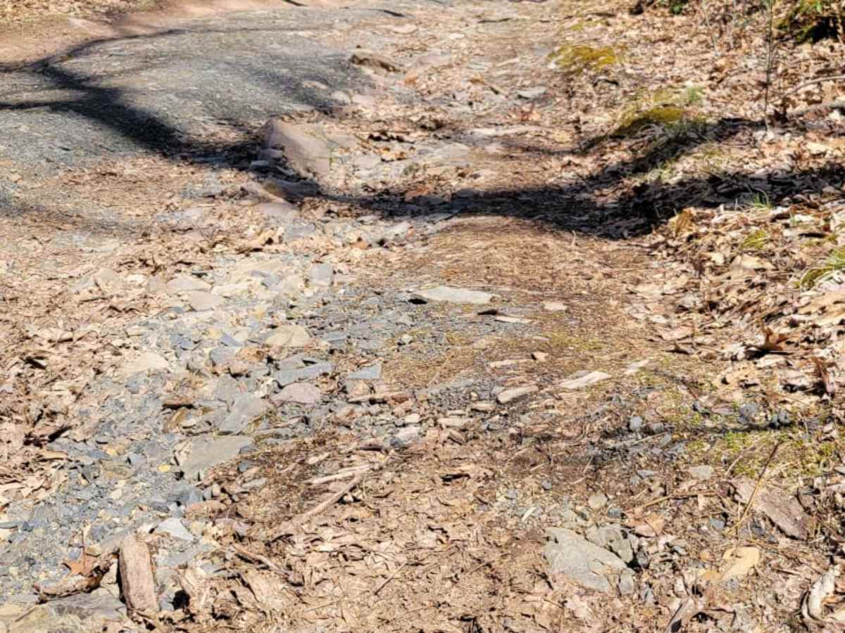 Odonnel Field Trail photo 5