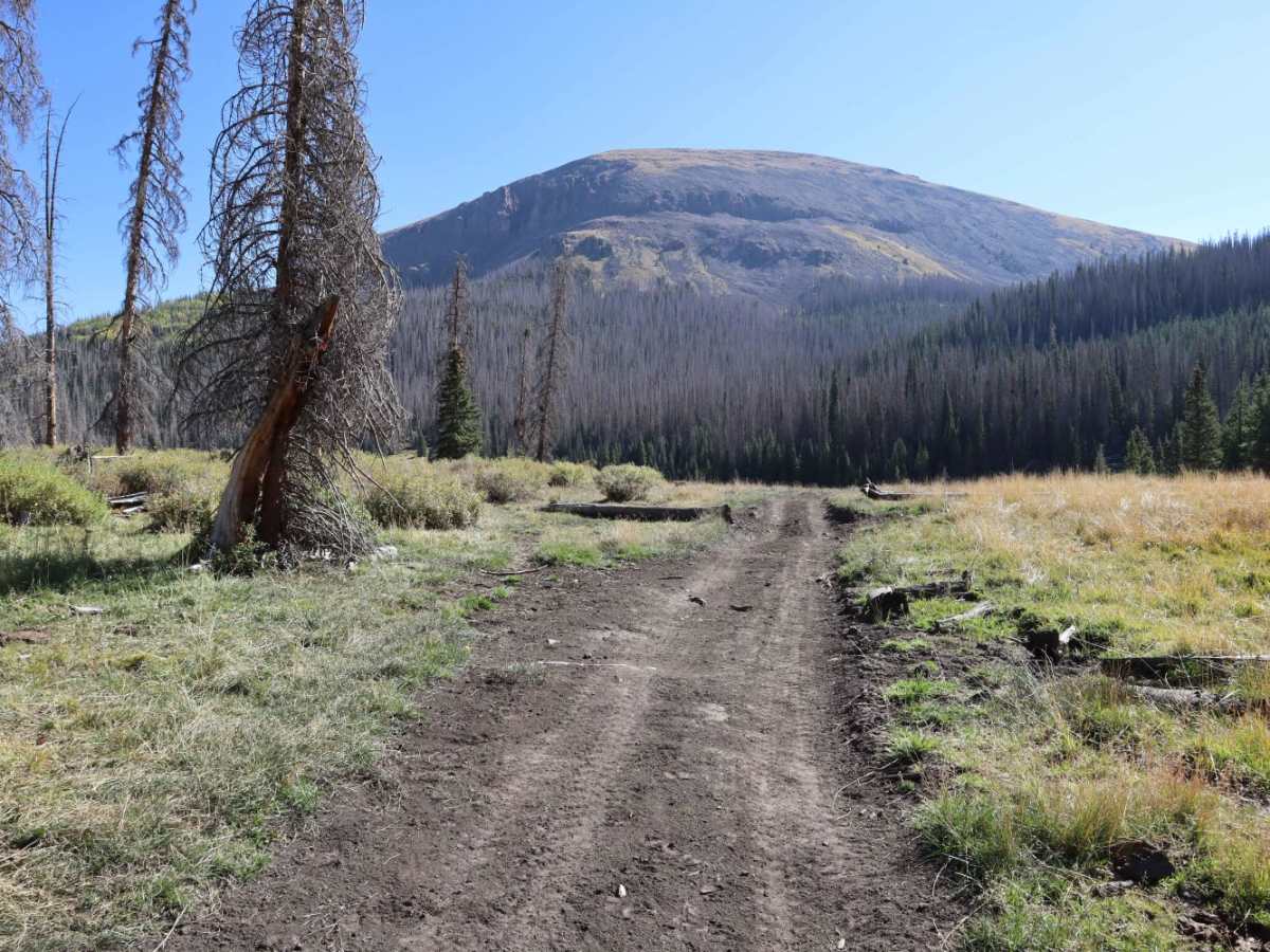 Bennet Creek 1 photo 6