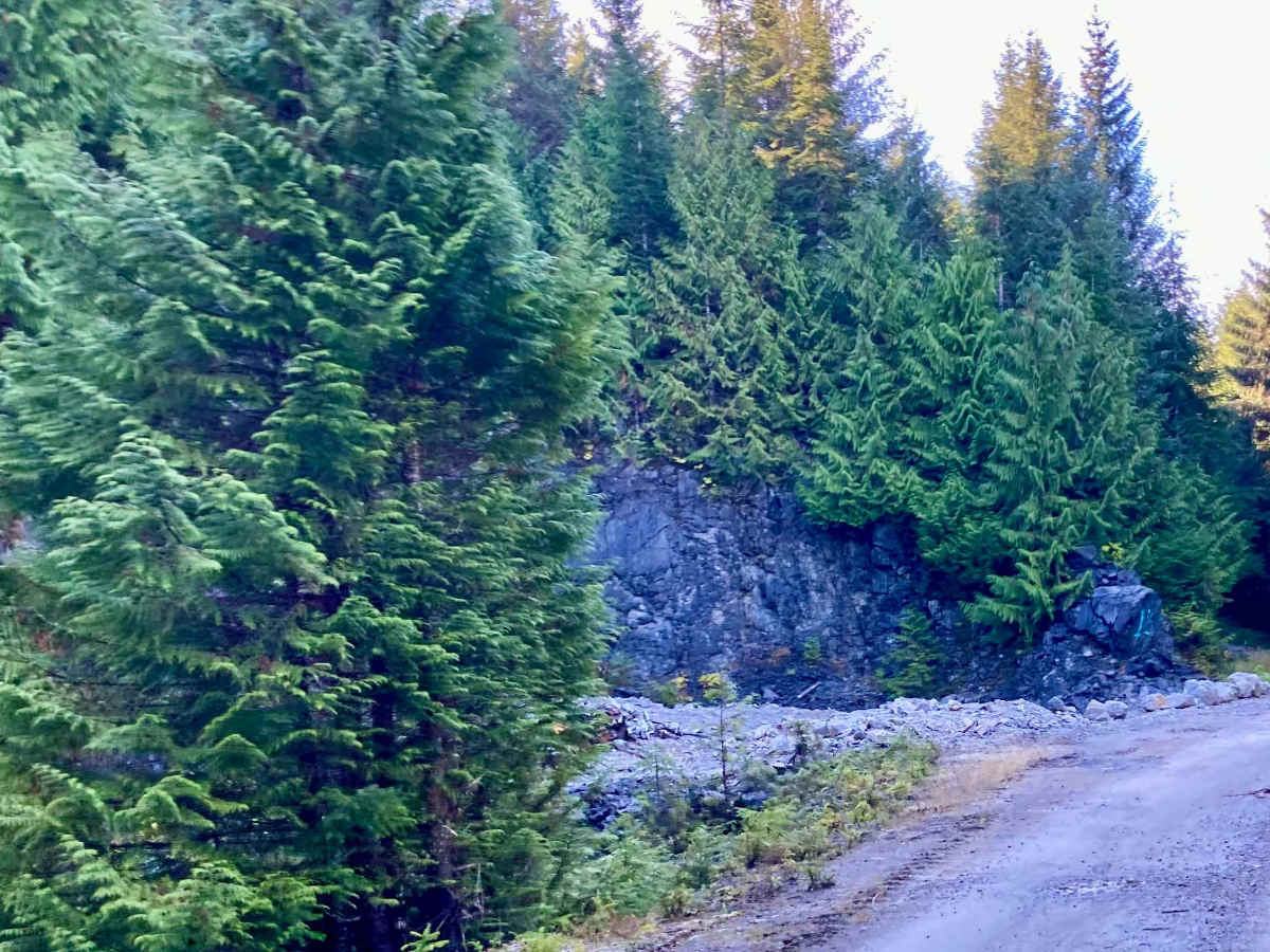 Loon Lake Road - FS 2060100 photo 4