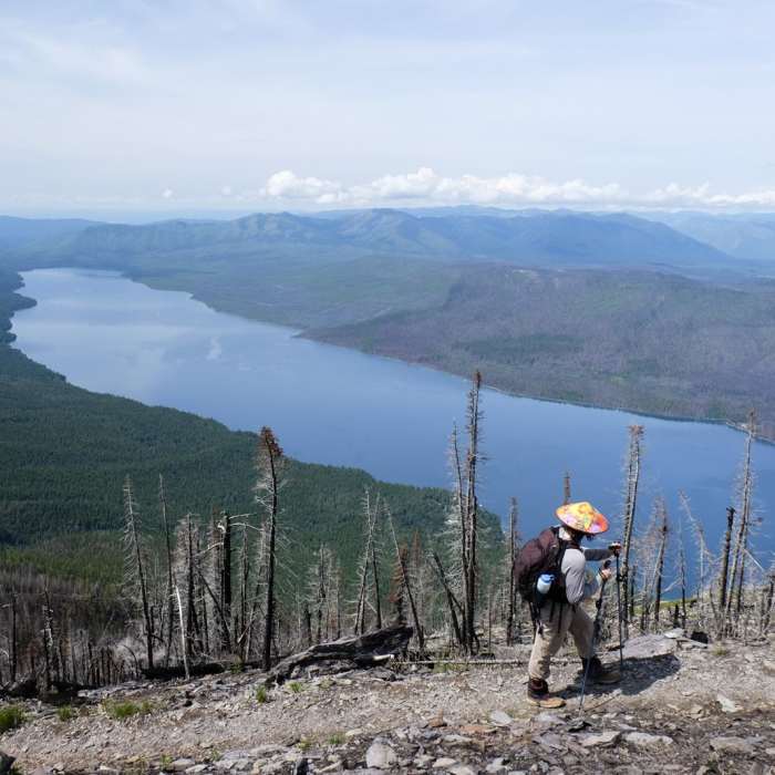 Near Mount Brown Lookout