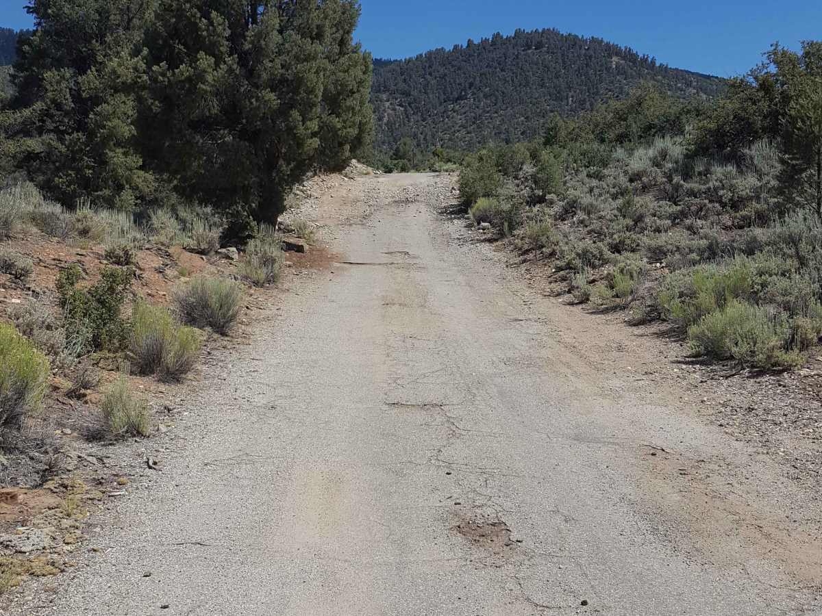 Frazier Mountain Rd - FS 8N04 photo 6
